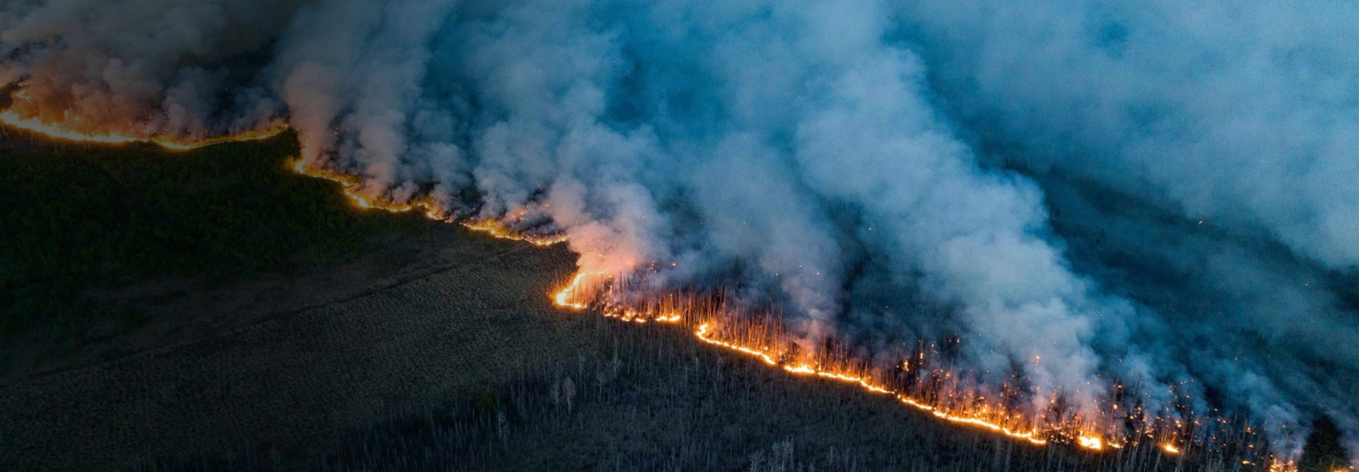 Canda June 2023 wildfire, catastrophic forest disaster